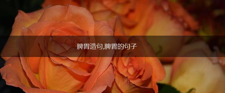 脾胃造句,脾胃的句子,第1张