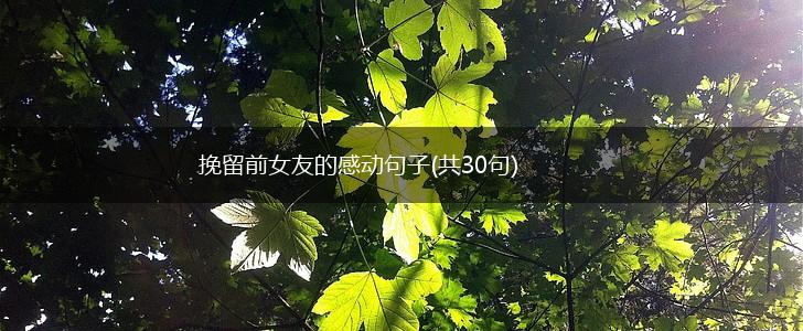 挽留前女友的感动句子(共30句),第1张