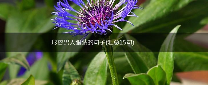 形容男人眼睛的句子(汇总15句),第1张
