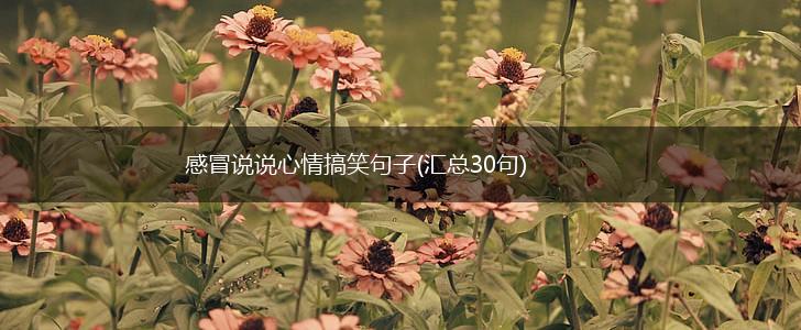 感冒说说心情搞笑句子(汇总30句),第1张