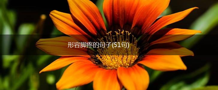 形容脚疼的句子(51句),第1张