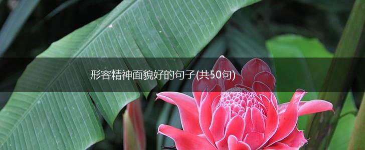形容精神面貌好的句子(共50句),第1张