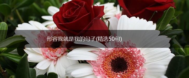 形容我就是我的句子(精选50句),第1张
