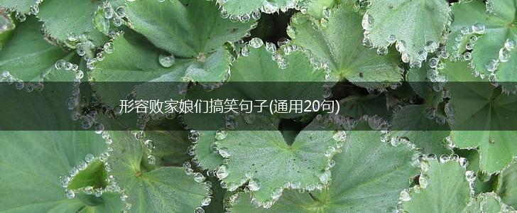 形容败家娘们搞笑句子(通用20句),第1张