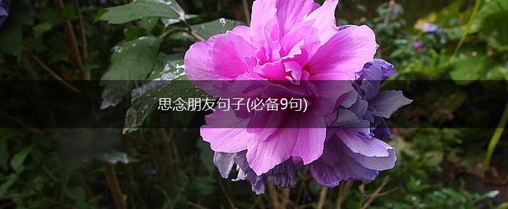 思念朋友句子(必备9句),第1张