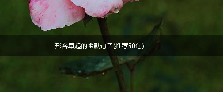形容早起的幽默句子(推荐50句),第1张