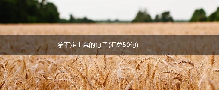 拿不定主意的句子(汇总50句),第1张