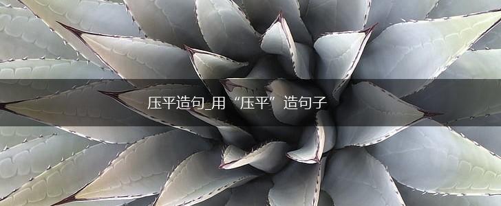 压平造句_用“压平”造句子,第1张 压平造句_用“压平”造句子,第1张