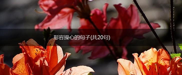 形容操心的句子(共20句),第1张