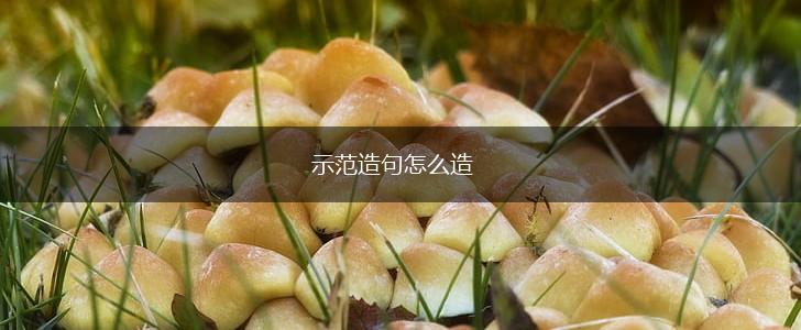 示范造句怎么造,第1张