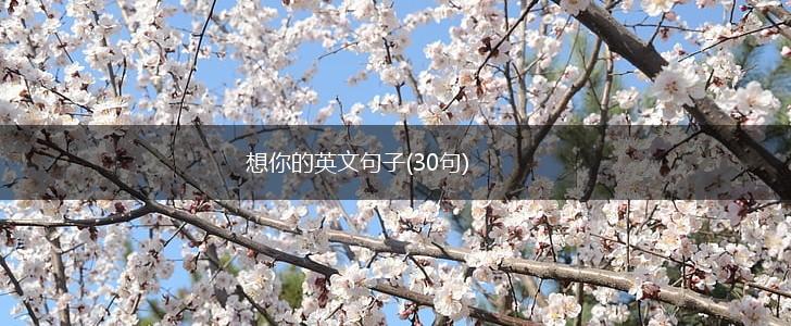 想你的英文句子(30句),第1张