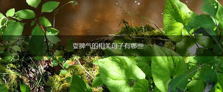 耍脾气的相关句子有哪些,第1张 耍脾气的相关句子有哪些,第1张