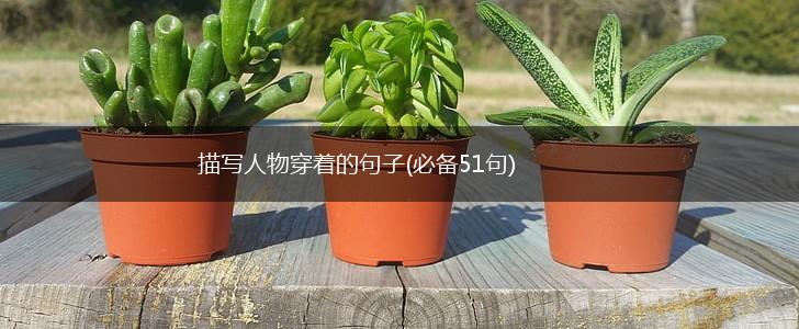 描写人物穿着的句子(必备51句),第1张