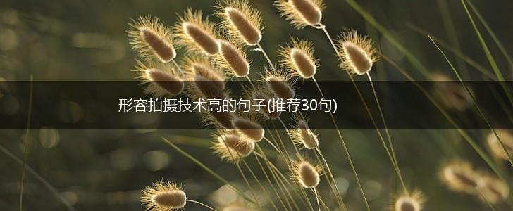 形容拍摄技术高的句子(推荐30句),第1张