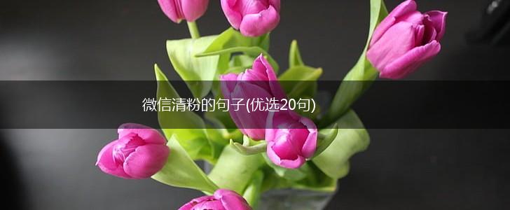 微信清粉的句子(优选20句),第1张