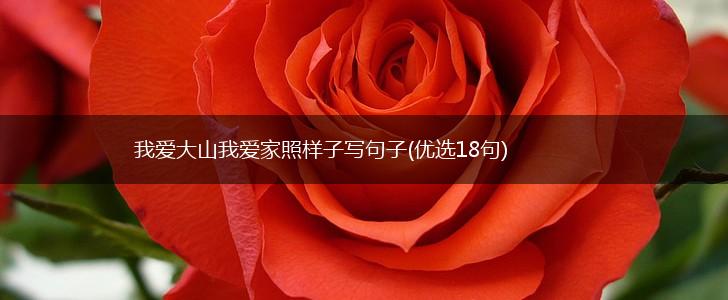 我爱大山我爱家照样子写句子(优选18句),第1张
