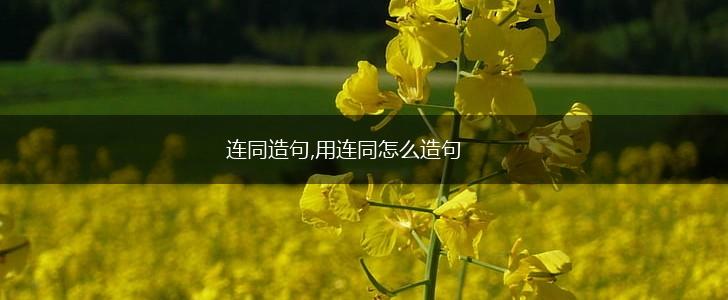 连同造句,用连同怎么造句,第1张 连同造句,用连同怎么造句,第1张