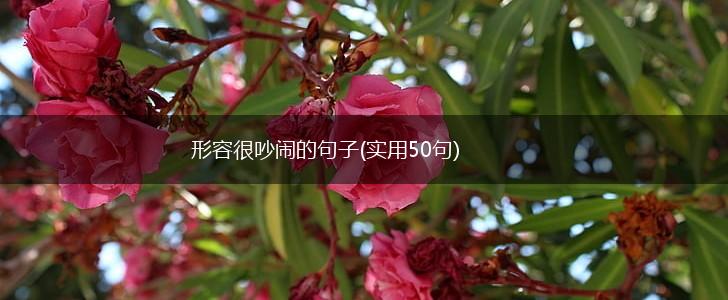 形容很吵闹的句子(实用50句),第1张