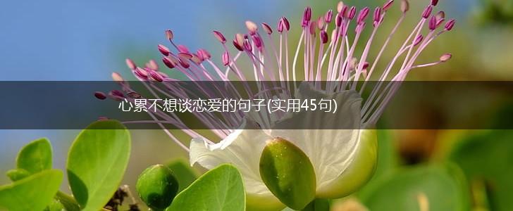 心累不想谈恋爱的句子(实用45句),第1张