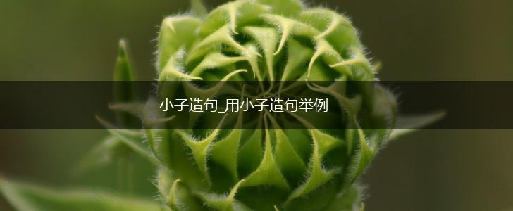 小子造句_用小子造句举例,第1张 小子造句_用小子造句举例,第1张