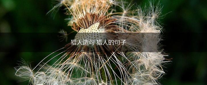 猎人造句 猎人的句子,第1张 猎人造句 猎人的句子,第1张