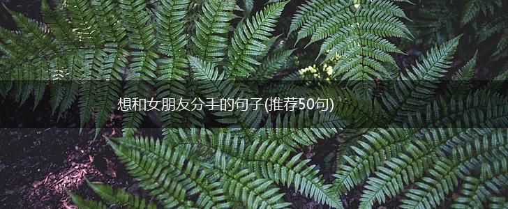 想和女朋友分手的句子(推荐50句),第1张