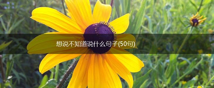 想说不知道说什么句子(50句),第1张
