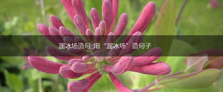溜冰场造句_用“溜冰场”造句子,第1张 溜冰场造句_用“溜冰场”造句子,第1张