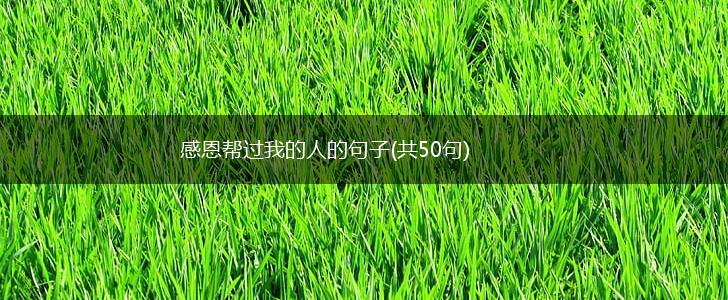 感恩帮过我的人的句子(共50句),第1张