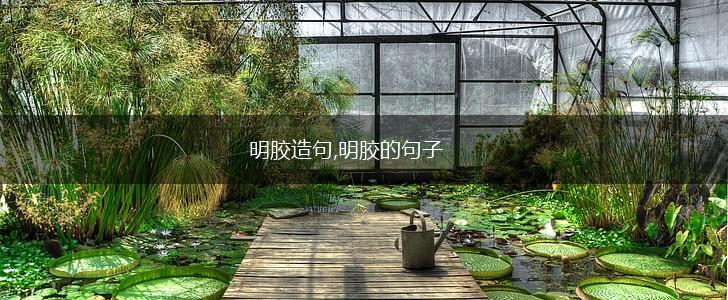 明胶造句,明胶的句子,第1张 明胶造句,明胶的句子,第1张
