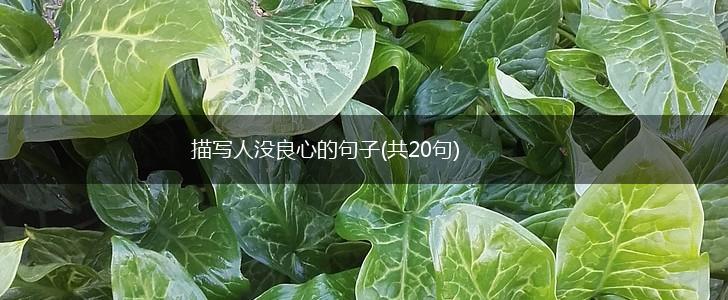 描写人没良心的句子(共20句),第1张