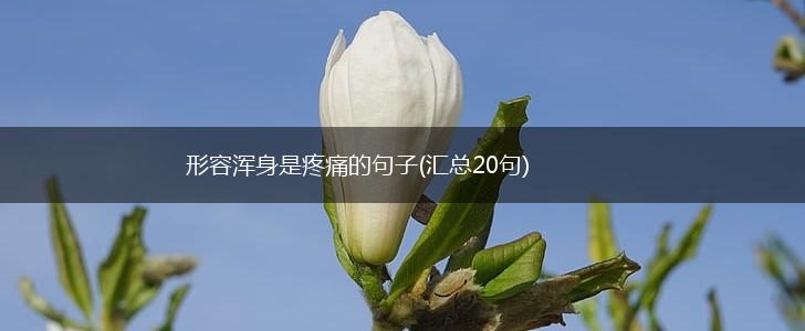 形容浑身是疼痛的句子(汇总20句),第1张