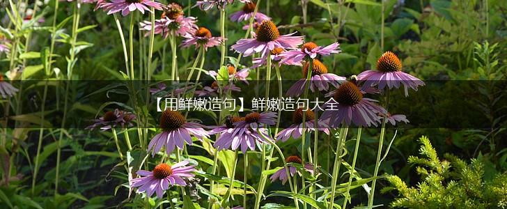 【用鲜嫩造句】鲜嫩造句大全,第1张 【用鲜嫩造句】鲜嫩造句大全,第1张