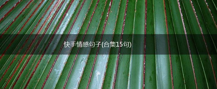 快手情感句子(合集15句),第1张
