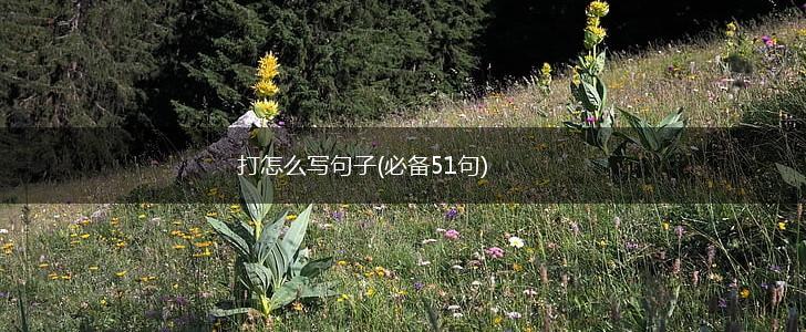 打怎么写句子(必备51句),第1张