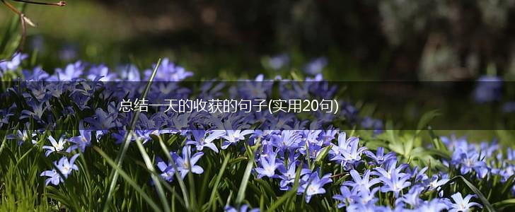 总结一天的收获的句子(实用20句),第1张