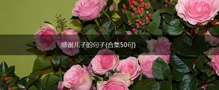 感谢儿子的句子(合集50句),第1张