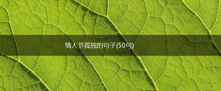 情人节孤独的句子(50句),第1张