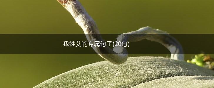 我姓艾的专属句子(20句),第1张