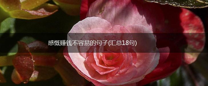感慨赚钱不容易的句子(汇总18句),第1张