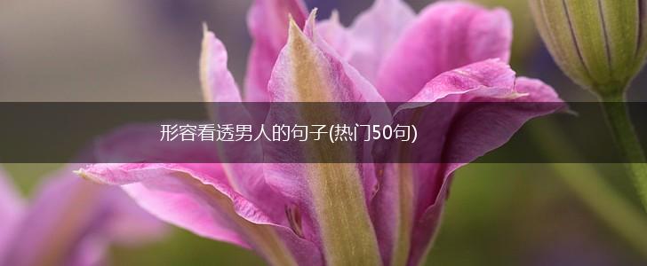 形容看透男人的句子(热门50句),第1张