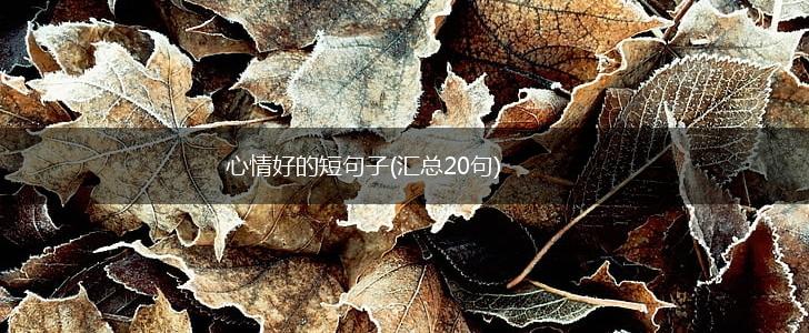 心情好的短句子(汇总20句),第1张