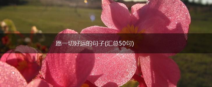 愿一切好运的句子(汇总50句),第1张