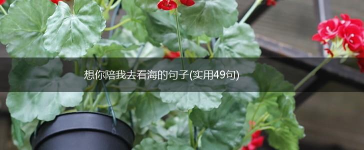 想你陪我去看海的句子(实用49句),第1张