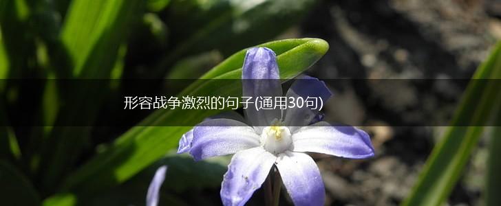 形容战争激烈的句子(通用30句),第1张