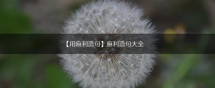 【用麻利造句】麻利造句大全,第1张 【用麻利造句】麻利造句大全,第1张