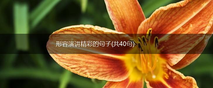 形容演讲精彩的句子(共40句),第1张