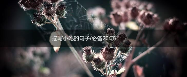 描写小吃的句子(必备20句),第1张