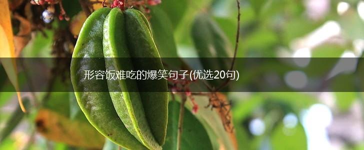 形容饭难吃的爆笑句子(优选20句),第1张