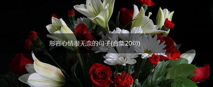 形容心情很无奈的句子(合集20句),第1张